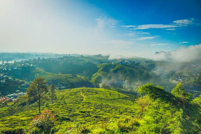 Nuwara Eliya